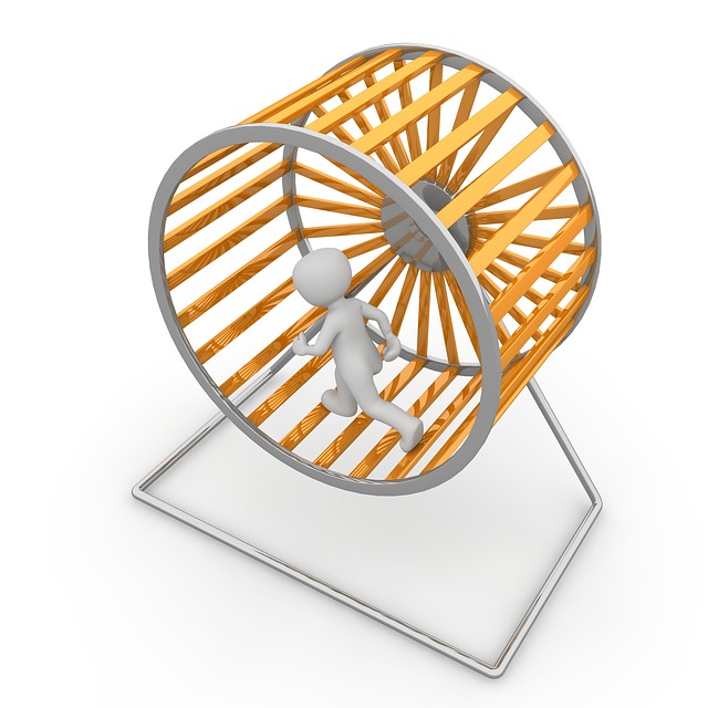 hamster-wheel-g2b4122d9d_640.jpg
